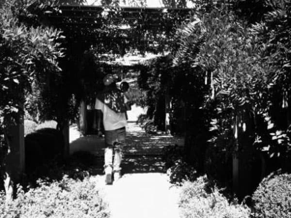 jay-z-ivy