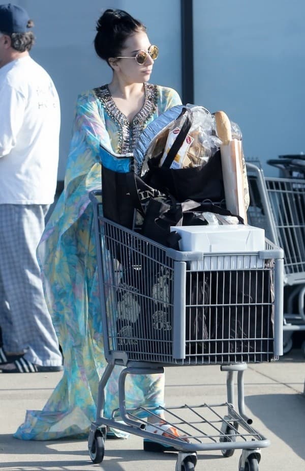 Bez telohranitelja i posluge ( foto: Just Jared )