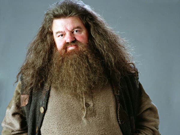 Hagrid (foto: FanPop)