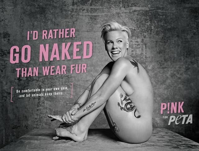 Pink od 30 metara (foto: PETA)