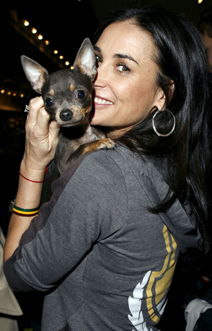 Demi Mur i njen pas Vida Blue