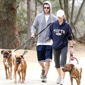 Džesika Bil i Džastin Timberlejk šetaju pse, novembar 2008