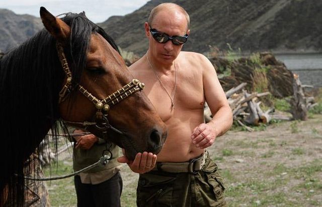 Vladimir Putin hrani konja