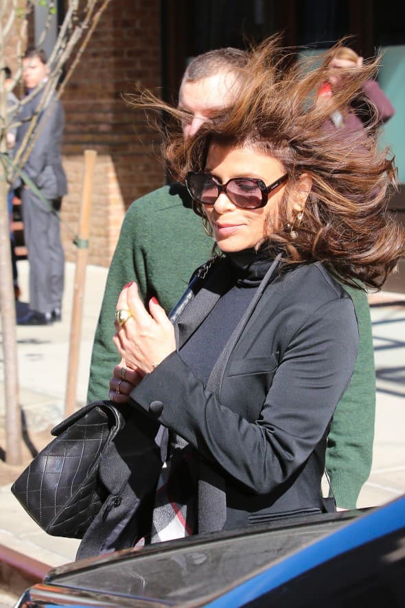Paula Abdul muči muku sa vetrom (foto: WENN)