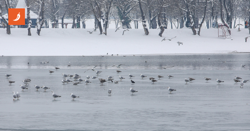 FOTO Zaledio se Jarun, prizori su kao iz filma