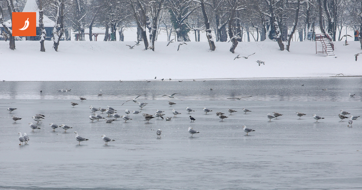 FOTO Zaledio se Jarun, prizori su kao iz filma