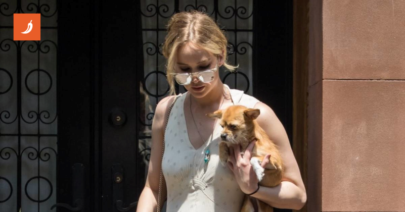 Jennifer Lawrence otkrila zašto se riješila psa nakon rođenja djece