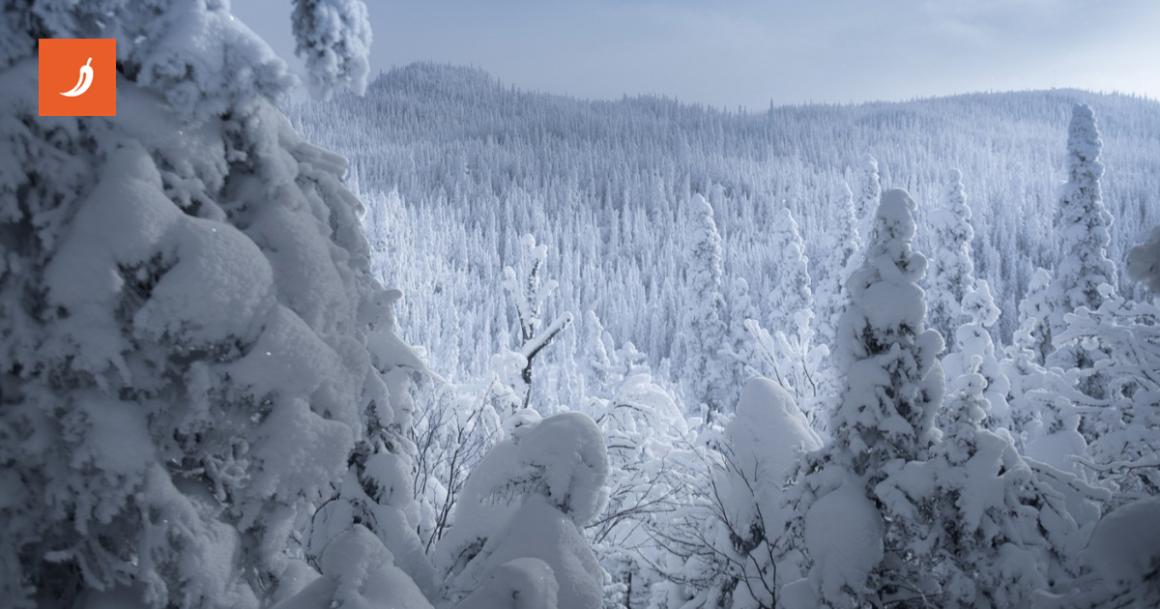 Mislite da je u Hrvatskoj snijeg problem? U ovim gradovima mjeri se u metrima