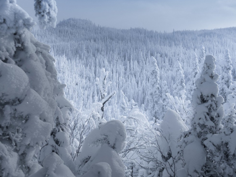 Mislite da je u Hrvatskoj snijeg problem? U ovim gradovima mjeri se u metrima