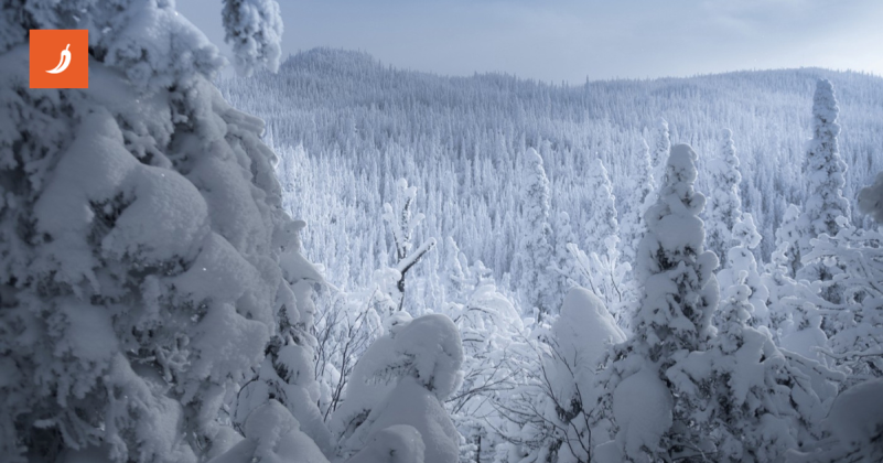 Mislite da je u Hrvatskoj snijeg problem? U ovim gradovima mjeri se u metrima