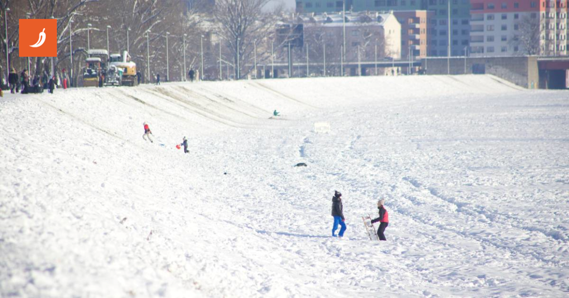 Obišli smo nasip na zagrebačkoj Savici, pogledajte kako izgleda zabava na snijegu 🥰